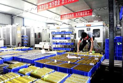 兩日后17萬(wàn)義馬人民攜手國(guó)家級(jí)文學(xué)大咖共同領(lǐng)略能化新城風(fēng)采