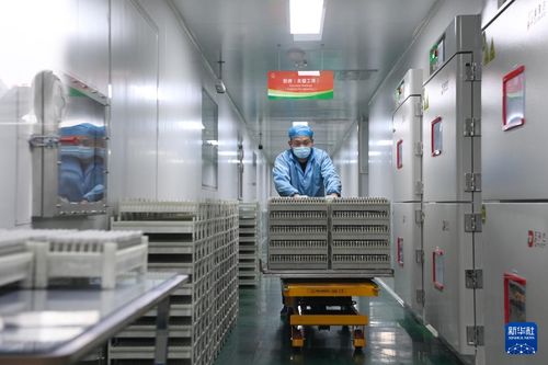 甘肅金昌 新能源和新能源電池產業集群快速發展