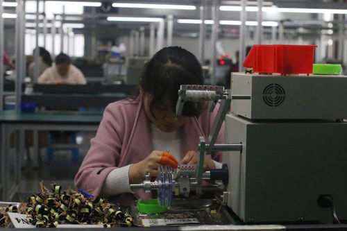 王宏兵赴武功縣調(diào)研督導(dǎo)“止滑促升、決戰(zhàn)收官”工作 助力電子材料生產(chǎn)發(fā)展